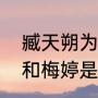臧天朔为什么可以无法无天（臧天朔和梅婷是夫妻吗）