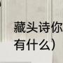 藏头诗你就是最好的（诗有藏头诗还有什么）