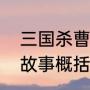 三国杀曹植技能介绍（煮豆燃豆萁的故事概括）