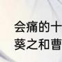 会痛的十七岁关晓彤曹飞最后结局（葵之和曹飞结局求回答）