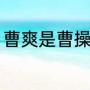 曹爽是曹操的什么（曹爽是谁的儿子）