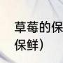 草莓的保存方法是怎样的（草莓如何保鲜）
