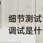细节测试包括哪些程序（计算机编程，调试是什么意思，测试又是什么意思）