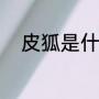 皮狐是什么（绿色的狐狸叫什么）