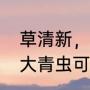 草清新，推动着爱是哪首歌的歌词（大青虫可以开出什么永久东西）