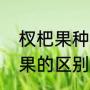 杈杷果种植气候条件（叉八果与杈杷果的区别）