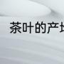 茶叶的产地（茶叶的产地都有哪些）