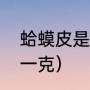 蛤蟆皮是属于什么（蟾蜍皮大约多少一克）