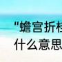 “蟾宫折桂”是什么意思啊（六月折桂什么意思）