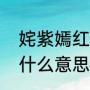 姹紫嫣红的意思是什么（姹紫嫣红是什么意思）