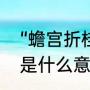 “蟾宫折桂”是什么意思啊（蟾宫折桂是什么意思意义是什么）