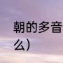 朝的多音字造句（朝笑的反义词是什么）