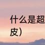 什么是超纤皮和真皮（超纤皮是什么皮）