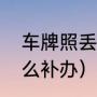 车牌照丢了怎么办（摩托车牌丢失怎么补办）
