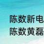 陈数新电视剧哪部好看（夫妻那些事陈数黄磊大结局）