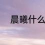晨曦什么意思（晨曦是什么意思）