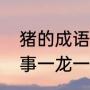 猪的成语：一龙一猪的故事（成语故事一龙一猪）