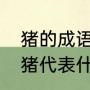 猪的成语：一龙一猪的故事（一龙一猪代表什么数字）