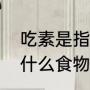 吃素是指不吃哪些食物（吃素可以吃什么食物）