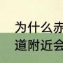 为什么赤道会有雪山存在（为什么赤道附近会有雪山）