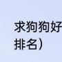 求狗狗好听的名字（十大进口犬品种排名）