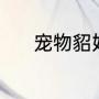 宠物貂好养吗（宠物貂好养么）