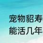 宠物貂寿命是多少（一只宠物貂一般能活几年）