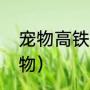 宠物高铁托运流程（火车怎么托运宠物）