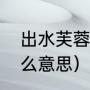 出水芙蓉什么意思啊（出水芙蓉是什么意思）