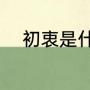 初衷是什么意思（初衷是啥意思）