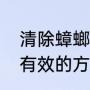 清除蟑螂最有效的方法（清除蟑螂最有效的方法）
