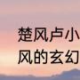 楚风卢小雨为主角的小说（主角叫楚风的玄幻小说）