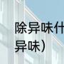 除异味什么效果好（什么东西可以除异味）