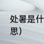 处暑是什么意思（处暑代表着什么意思）