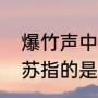 爆竹声中一岁除春风送暖入屠苏，屠苏指的是什么