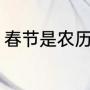 春节是农历几月初几（人过年是初几）