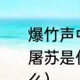 爆竹声中一岁除，春风送暖入屠苏的屠苏是什么意思（入屠苏的屠苏指什么）