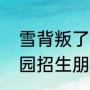 雪背叛了冬爱上了春经典语句（幼儿园招生朋友圈句子）