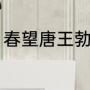 春望唐王勃古诗（饮酒春望古诗原文）