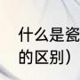 什么是瓷片（泡水瓷片和不泡水瓷片的区别）