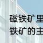 磁铁矿里含有的主要成分是什么（磁铁矿的主要成分是什么）
