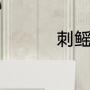 刺鳐读音（刺鳐怎么养）