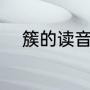簇的读音是什么（簇是什么意思）