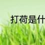 打荷是什么意思（什么是打荷工）