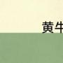 黄牛是谁（黄牛的学名）