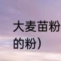 大麦苗粉是什么（大麦苗是怎么磨成的粉）