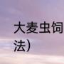 大麦虫饲养繁殖法（大麦虫饲养繁殖法）