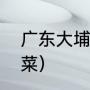 广东大埔的特产（大埔客家十大特色菜）