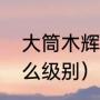 大筒木辉夜的实力（辉夜在大筒木什么级别）