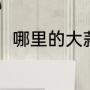 哪里的大蒜最好（哪个地方大蒜好）